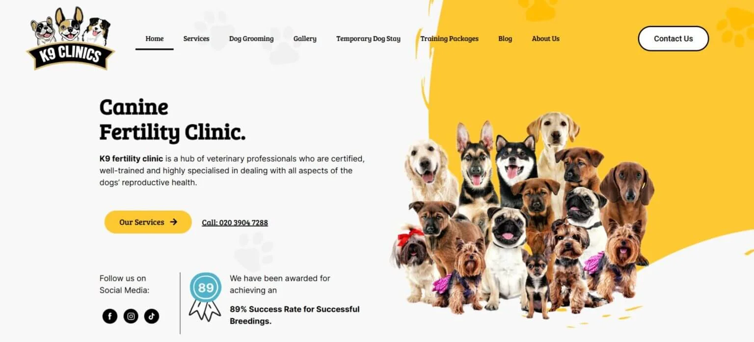 K9 Clinics SEO Portfolio