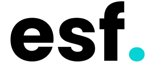 Expert SEO Freelance Logo
